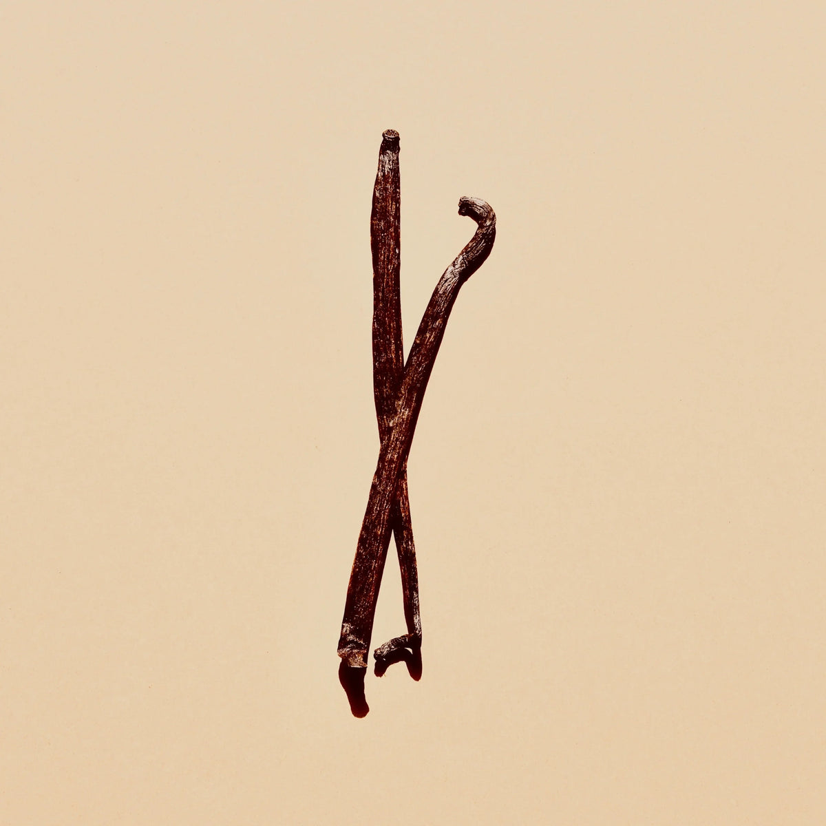 Two dried vanilla beans on a plain beige background