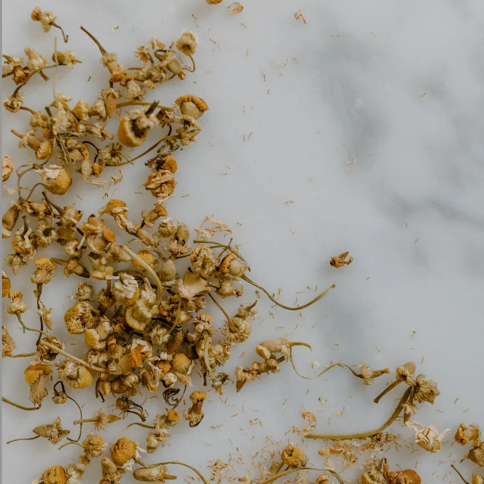 Loose dried chamomile flowers spread on a white marble surface