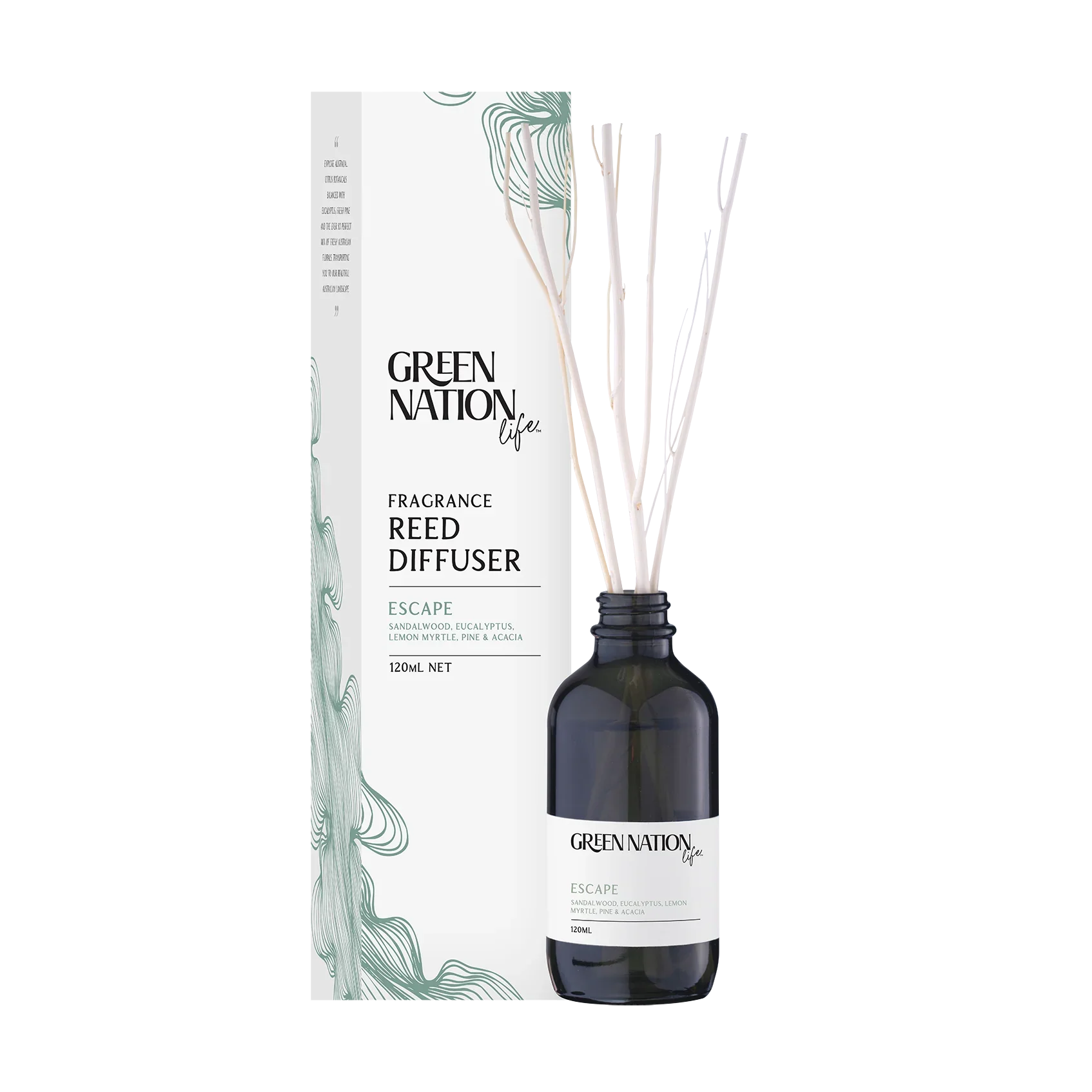 Green Nation Life Escape fragrance reed diffuser with box, 120ml, black bottle, natural reeds