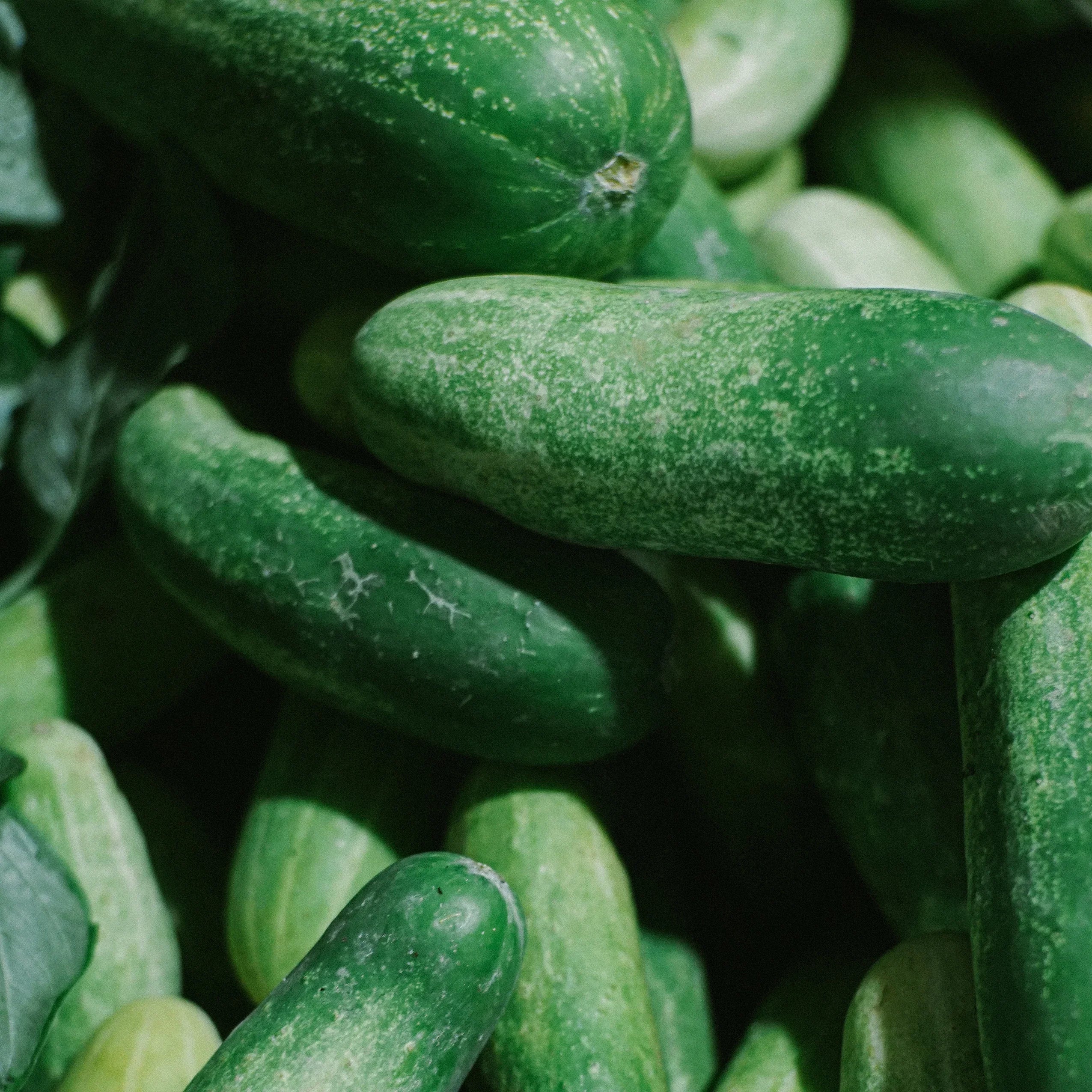 Fresh green cucumbers piled together at a market