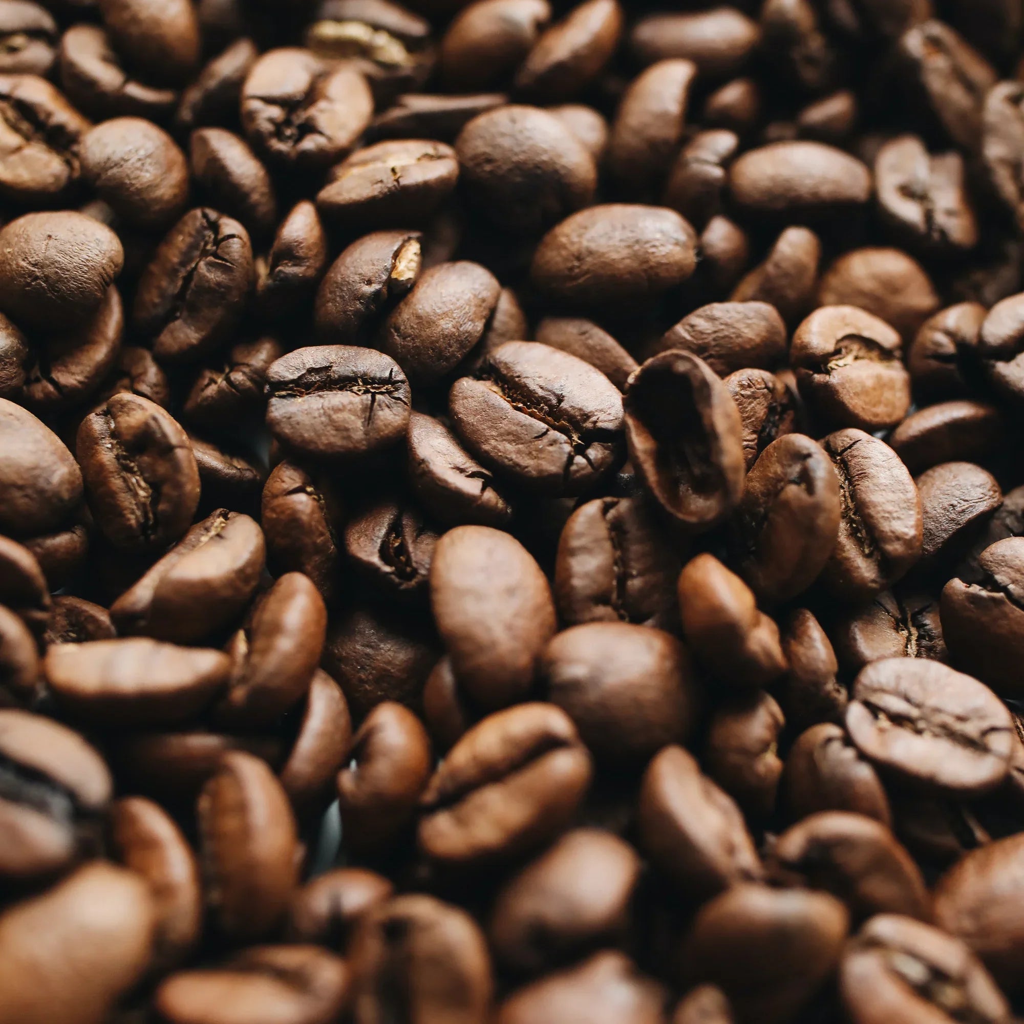 Close-up of roasted coffee beans, showing rich color and texture
